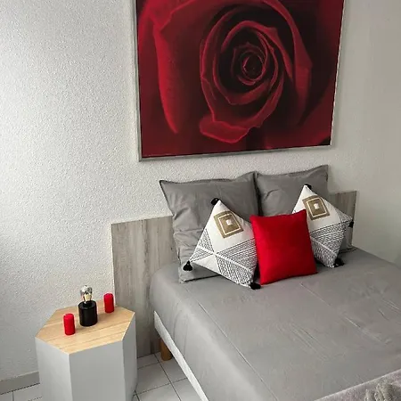 Apparthotel Calme Dans Le Centre Ville 아파트 *